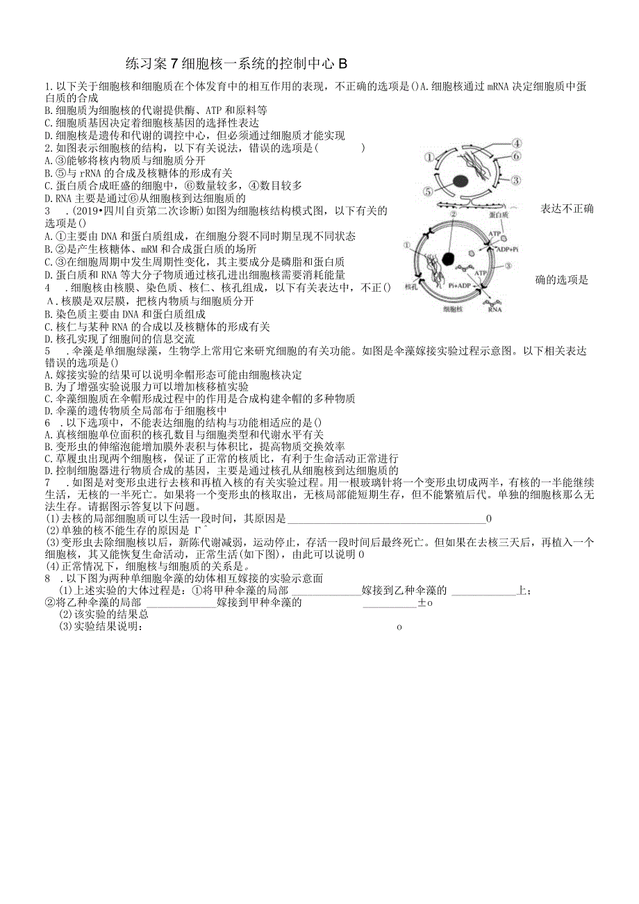 必修一细胞核系统的控制中心练习案B无答案.docx_第1页