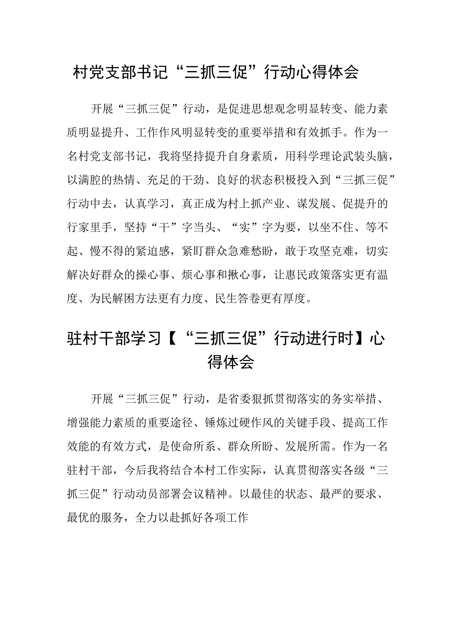 村党支部书记三抓三促行动心得体会范文参考三篇.docx_第1页