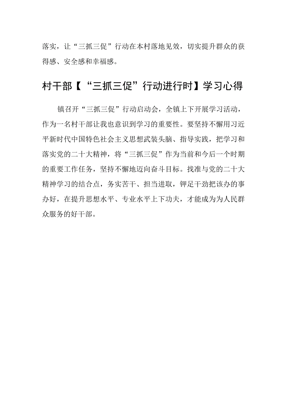 村党支部书记三抓三促行动心得体会范文参考三篇.docx_第2页