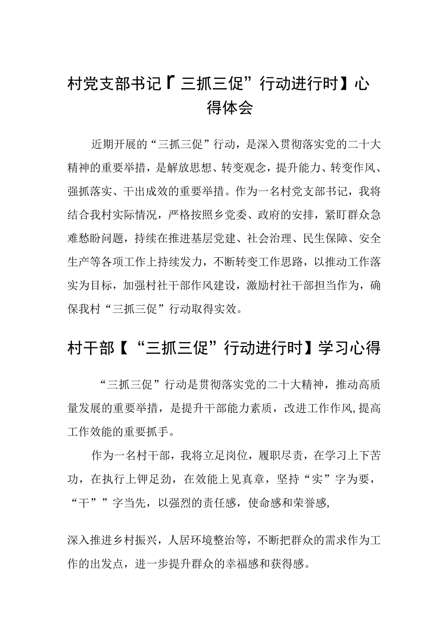 村党支部书记三抓三促行动进行时心得体会范文参考三篇.docx_第1页