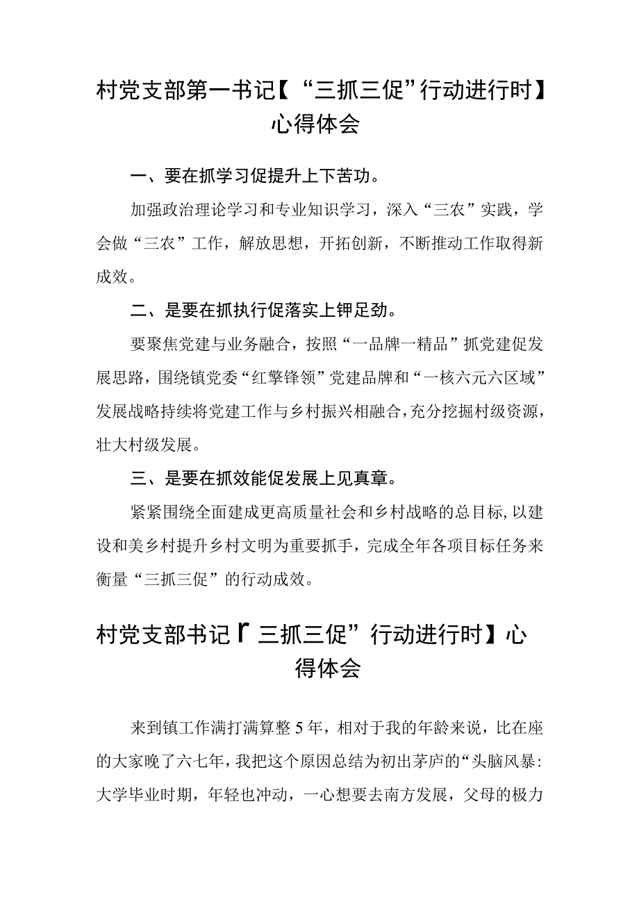 村党支部书记三抓三促行动进行时心得体会范文参考三篇.docx_第2页