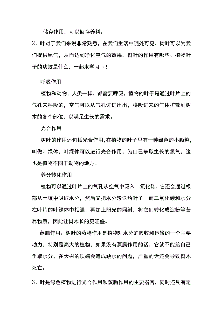 植物的叶子有什么作用.docx_第2页