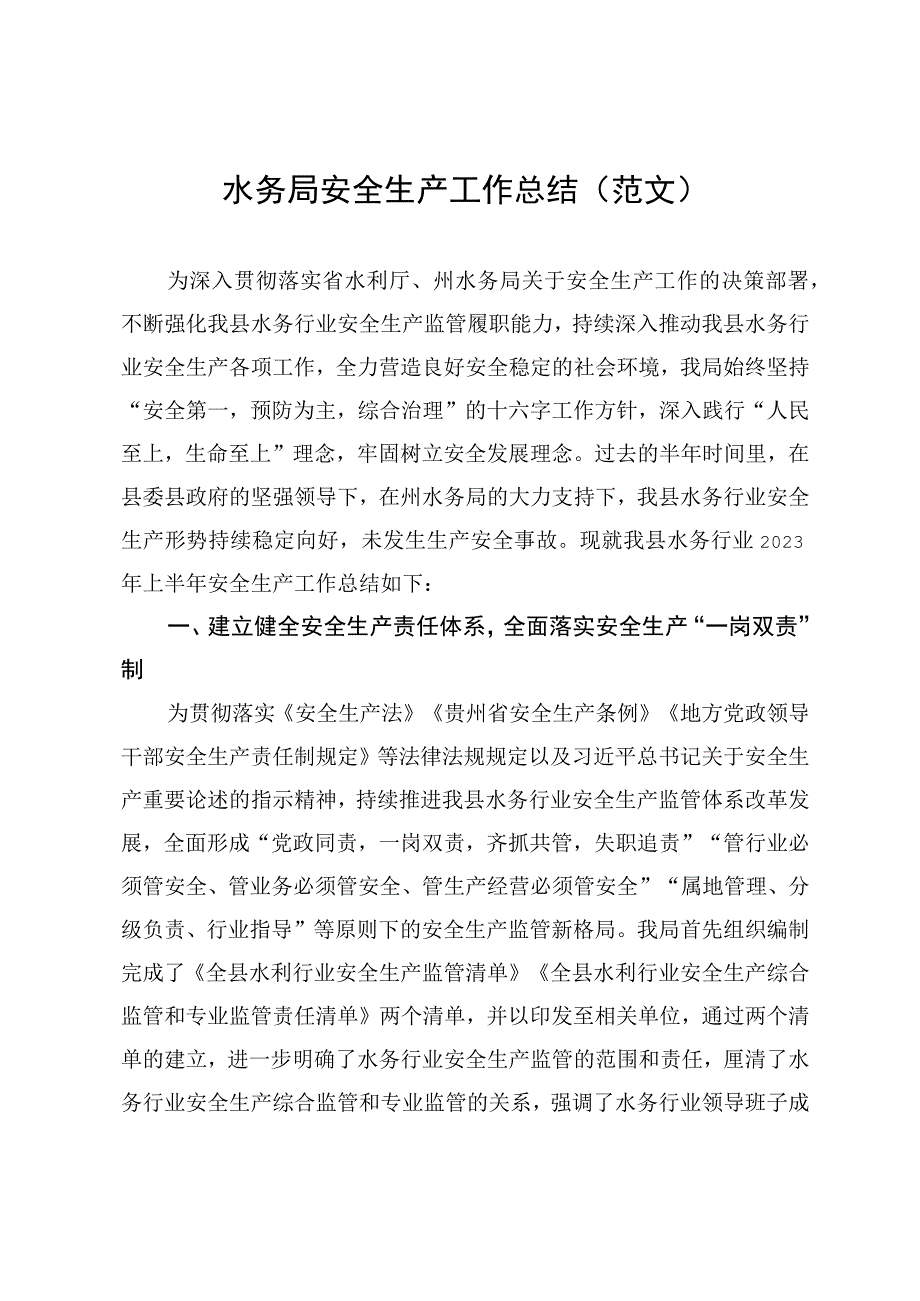 水行政主管部门安全生产工作总结（范文）.docx_第1页