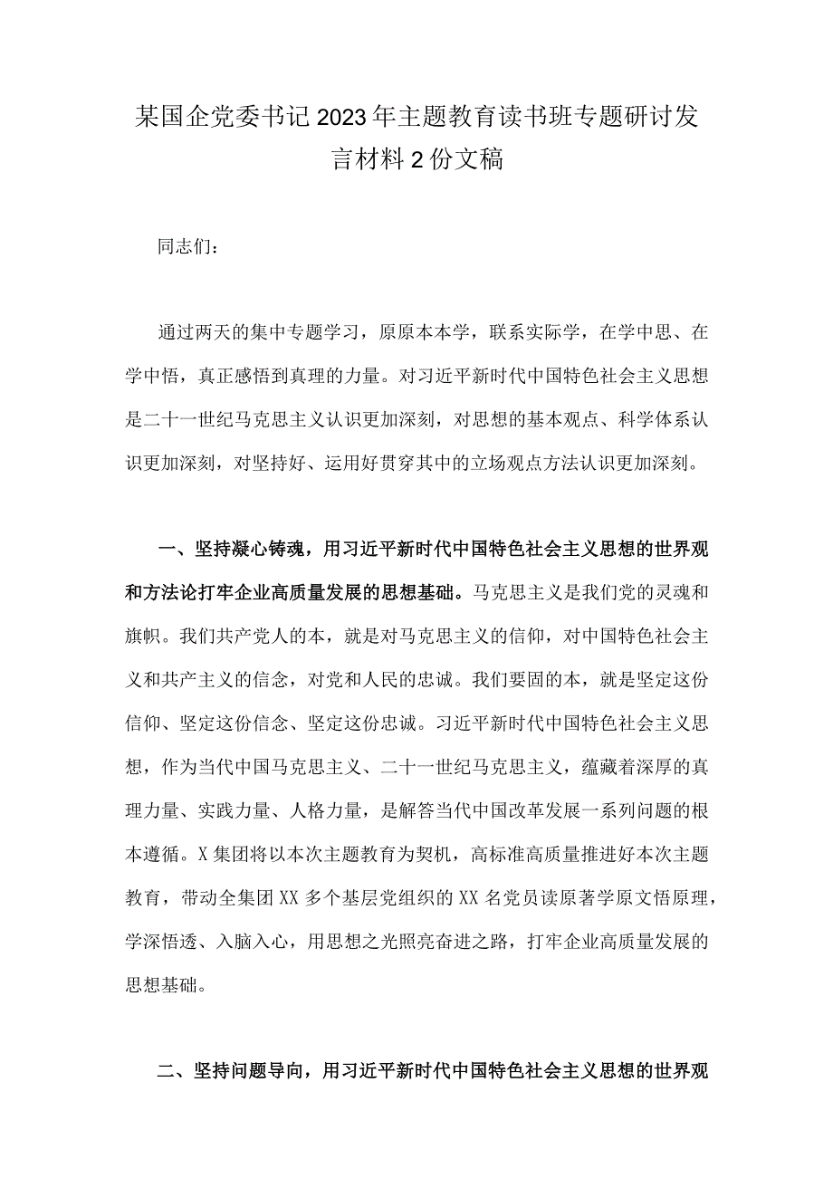 某国企党委书记2023年主题教育读书班专题研讨发言材料2份文稿.docx_第1页