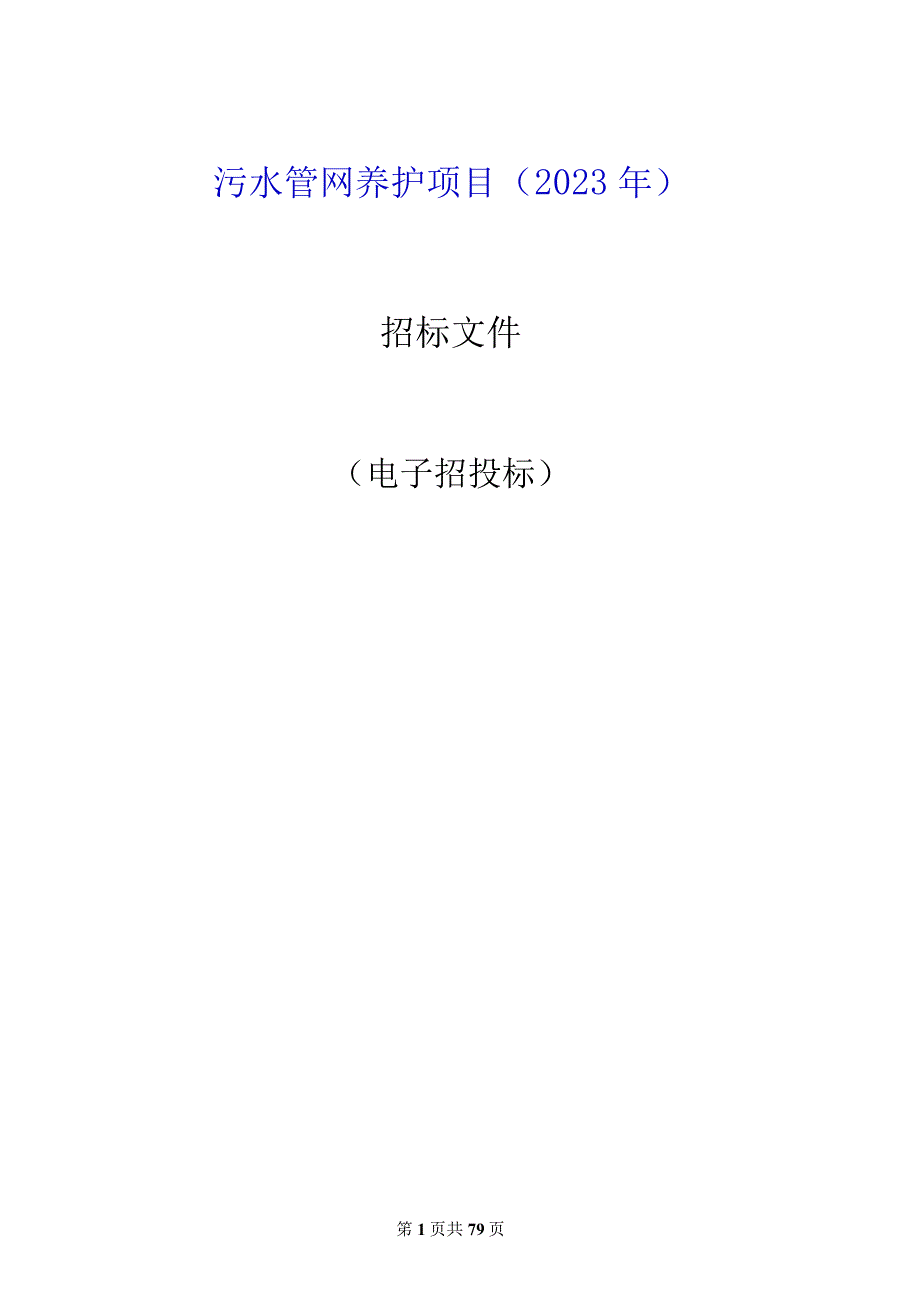 污水管网养护项目2023年招标文件.docx_第1页