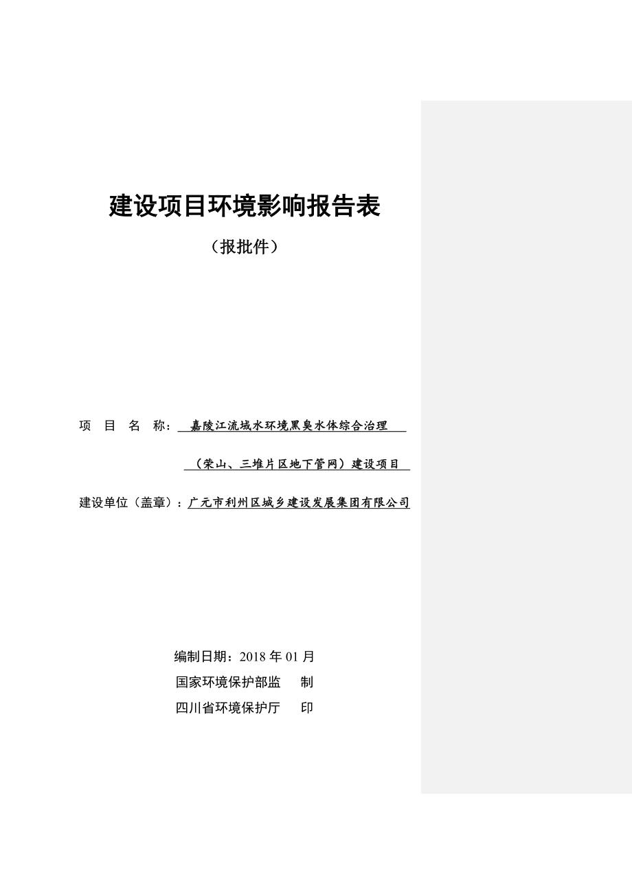 嘉陵江流域水环境黑臭水体综合治理（荣山、三堆片区地下管网）建设项目环境影响报告.doc_第1页