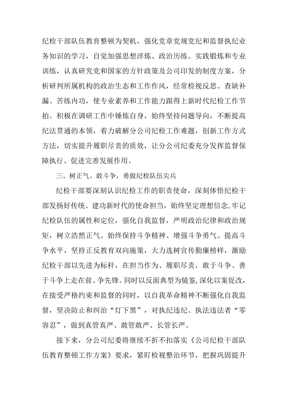 民营单位2023年纪检监察干部队伍教育整顿心得体会 汇编8份.docx_第2页