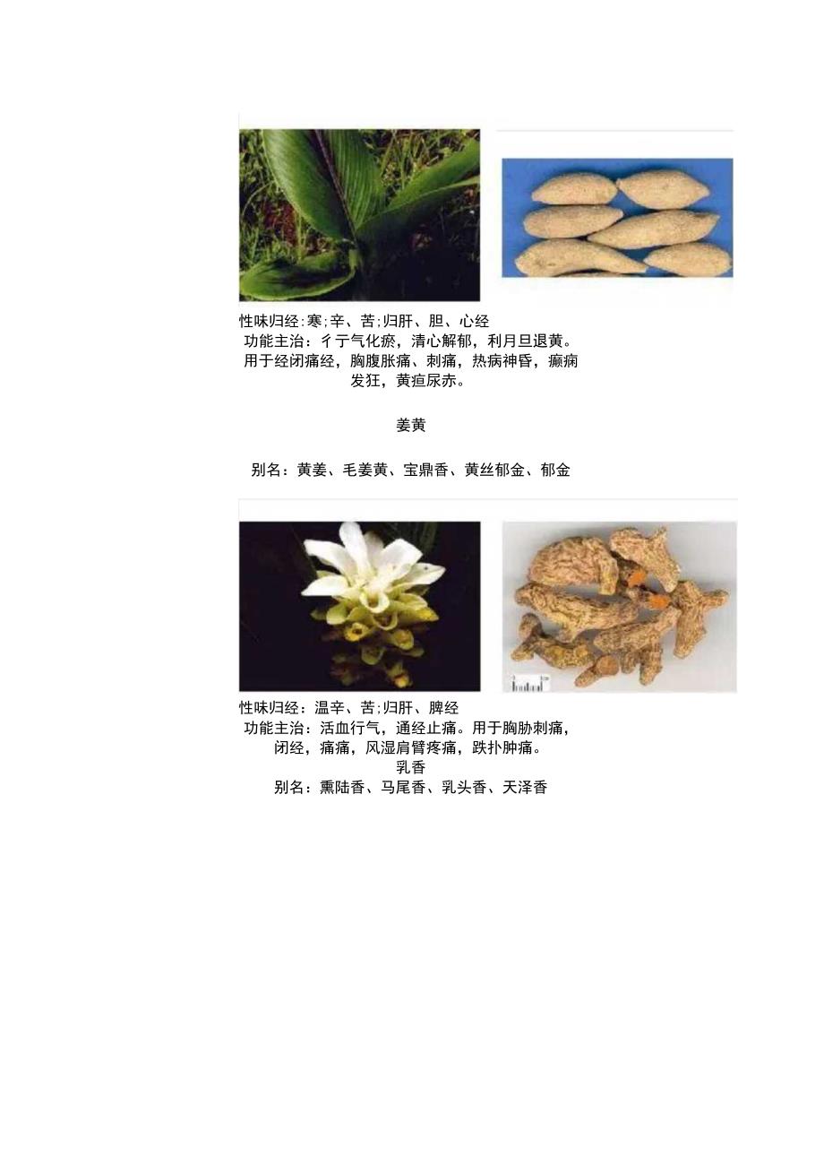 活血止痛药.docx_第2页