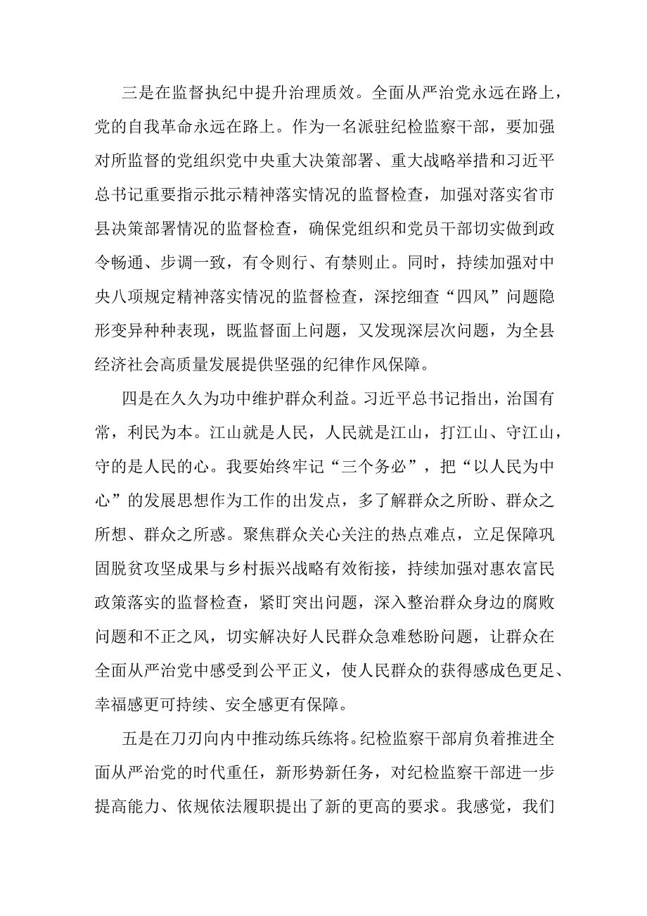 某纪检监察干部在教育整顿“牢记三个务必 打造纪检铁军”专题研讨会上的发言提纲.docx_第3页