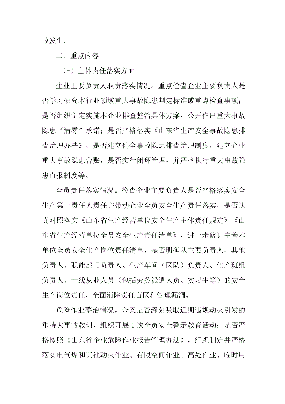 水上交通开展2023年重大事故隐患专项排查整治行动工作实施方案 合计6份.docx_第2页