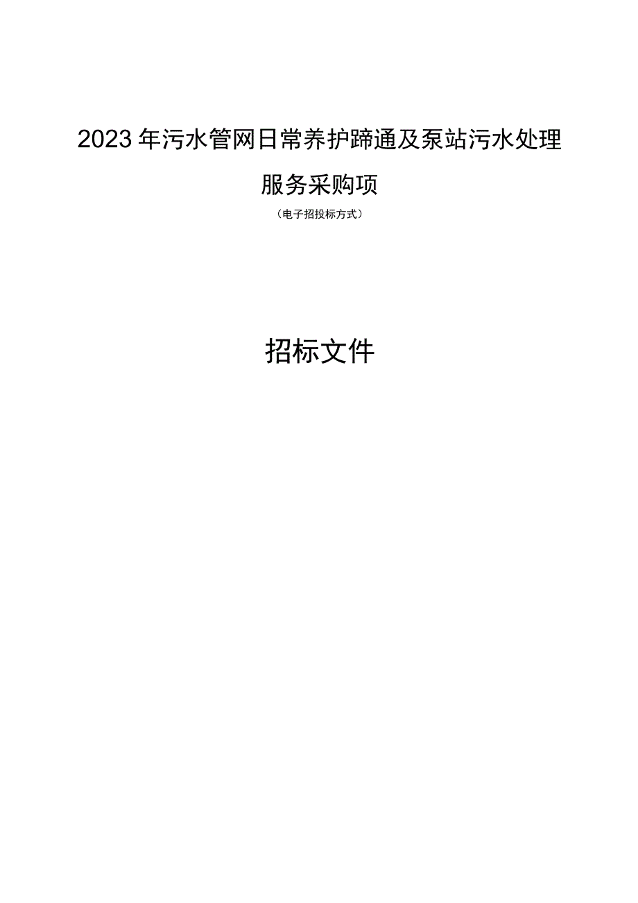 污水管网日常养护疏通及泵站污水处理服务采购项目招标文件.docx_第1页