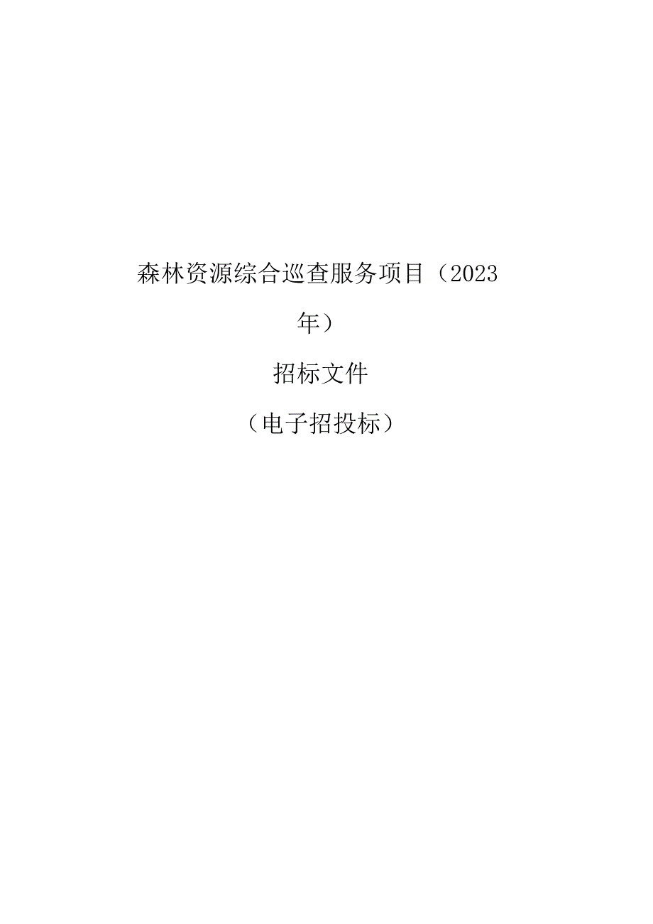 森林资源综合巡查服务项目2023年招标文件.docx_第1页