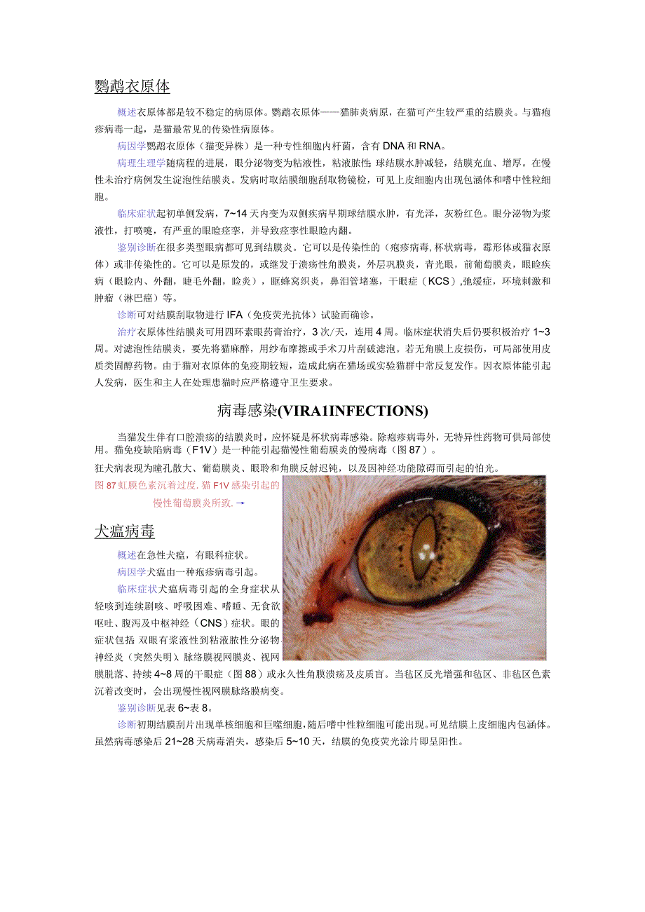 犬猫临床医学—眼病.docx_第2页