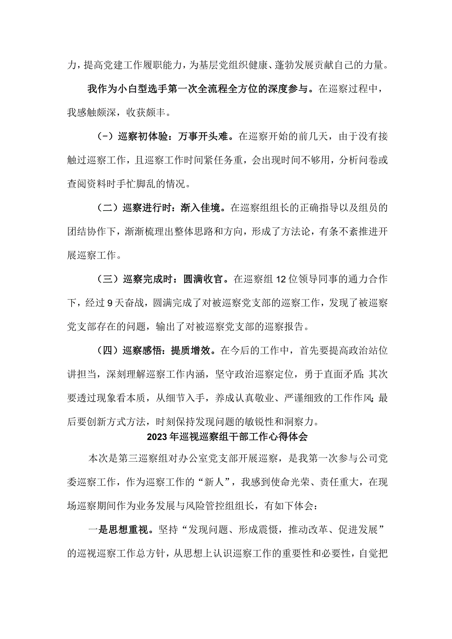 疾控中心2023年纪检巡察组巡检工作心得体会 合计7份.docx_第3页