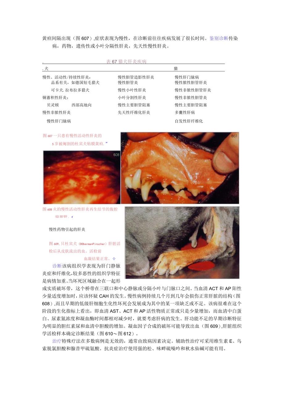 犬猫临床医学—肝病.docx_第2页