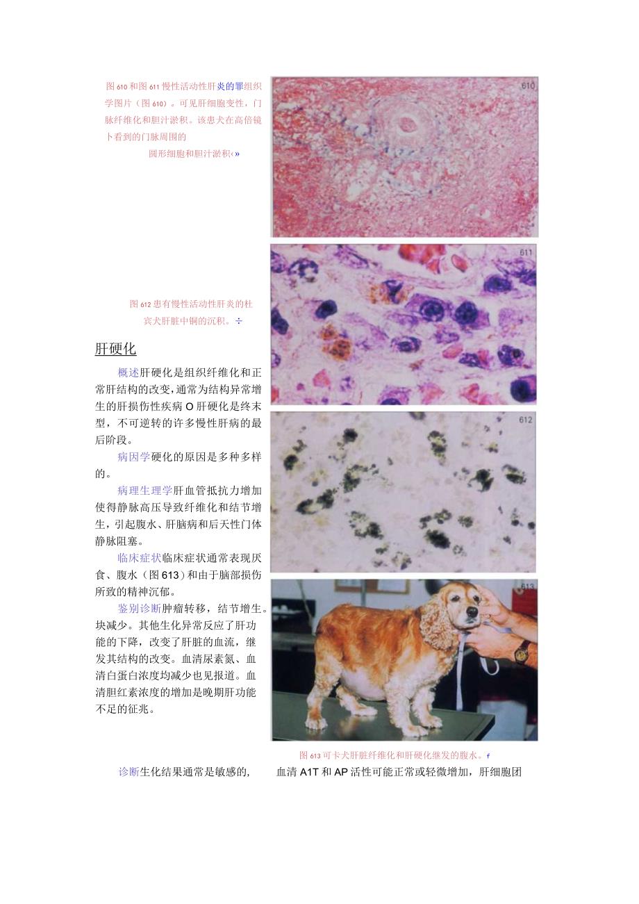 犬猫临床医学—肝病.docx_第3页