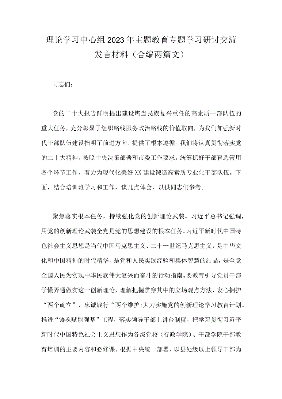 理论学习中心组2023年主题教育专题学习研讨交流发言材料合编两篇文.docx_第1页