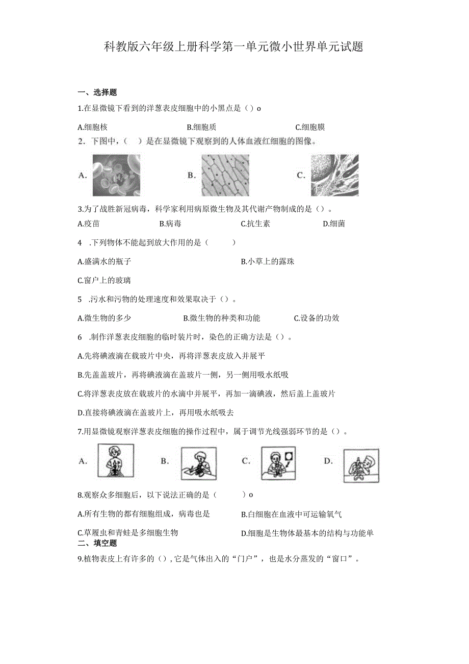 科教版六年级上册科学第一单元微小世界单元试题.docx_第1页