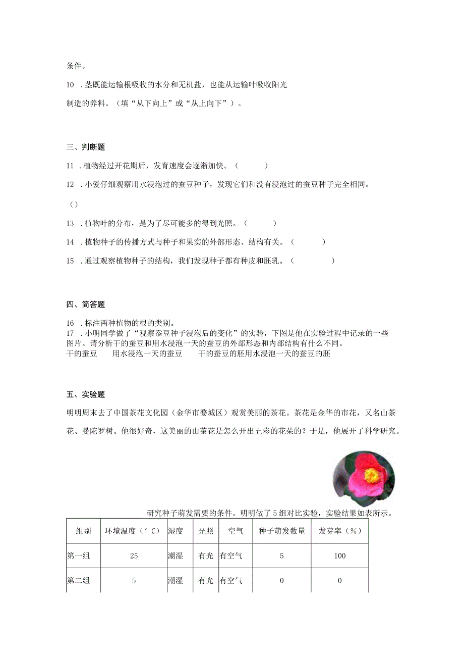 科学教科版四年级下册单元检测 第一单元 植物的生长变化.docx_第2页