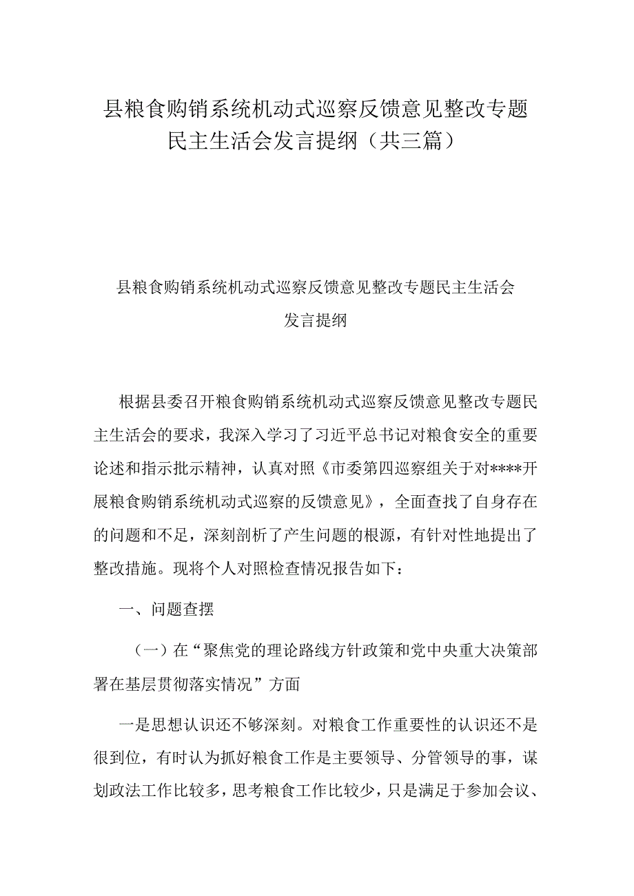 县粮食购销系统机动式巡察反馈意见整改专题民主生活会发言提纲(共三篇).docx_第1页