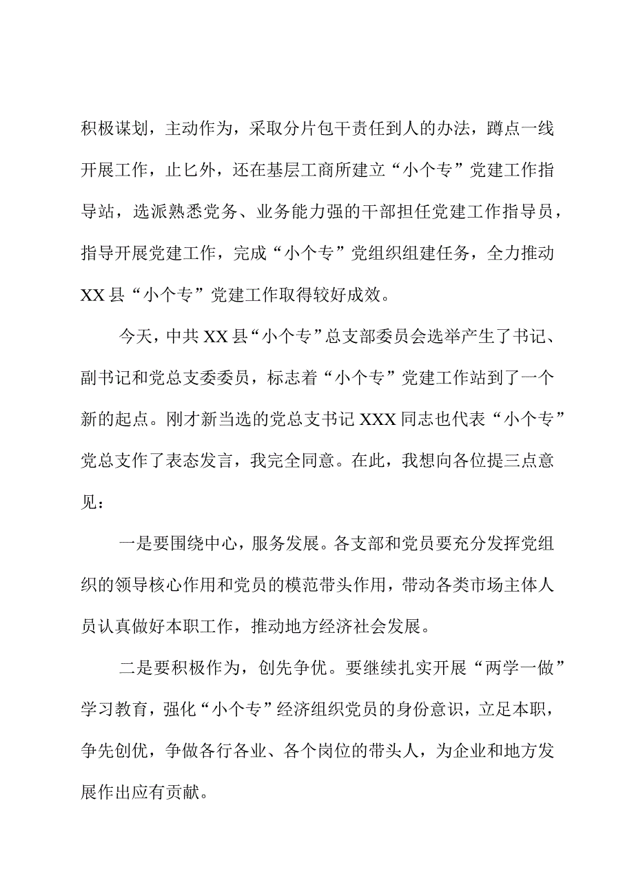 县组织部领导在XX县XX党总支成立暨选举党员大会上的讲话稿.docx_第2页