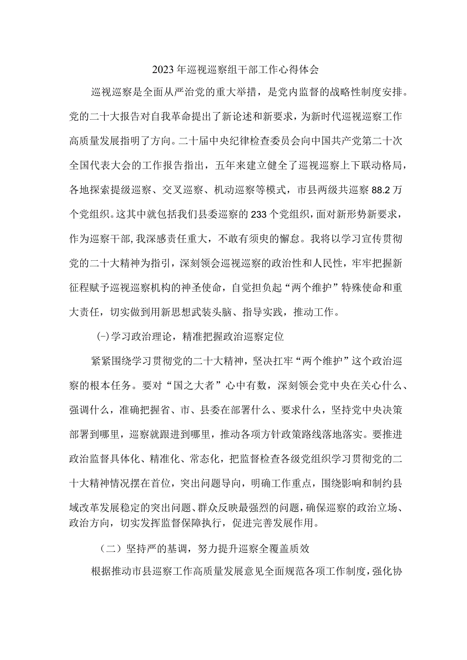 县委县政府2023年纪检巡察组巡检工作个人心得体会 （汇编10份）.docx_第1页