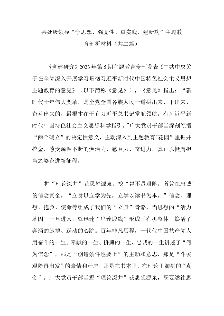 县处级领导“学思想、强党性、重实践、建新功”主题教育剖析材料(共二篇).docx_第1页