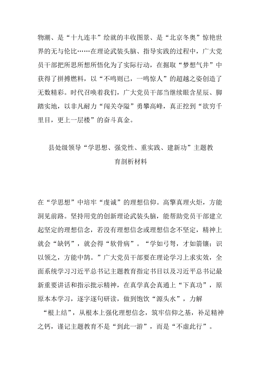 县处级领导“学思想、强党性、重实践、建新功”主题教育剖析材料(共二篇).docx_第3页