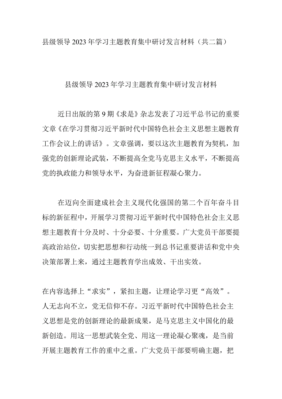 县级领导2023年学习主题教育集中研讨发言材料(共二篇).docx_第1页