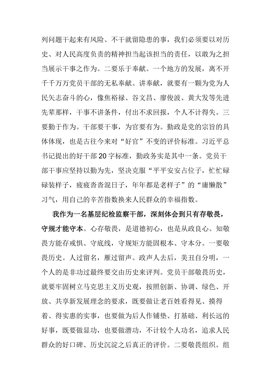 县级纪检干部教育整顿心得体会2篇.docx_第3页