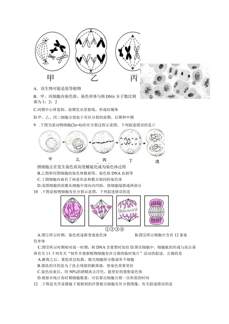 细胞增殖练习题.docx_第2页