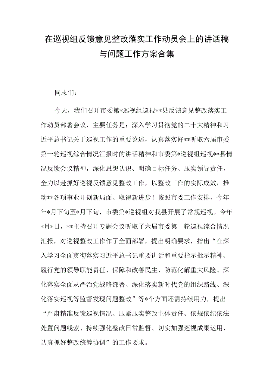 在巡视组反馈意见整改落实工作动员会上的讲话稿与问题工作方案合集.docx_第1页