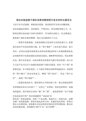 国企纪检监察干部队伍教育整顿研讨发言材料五篇范文.docx