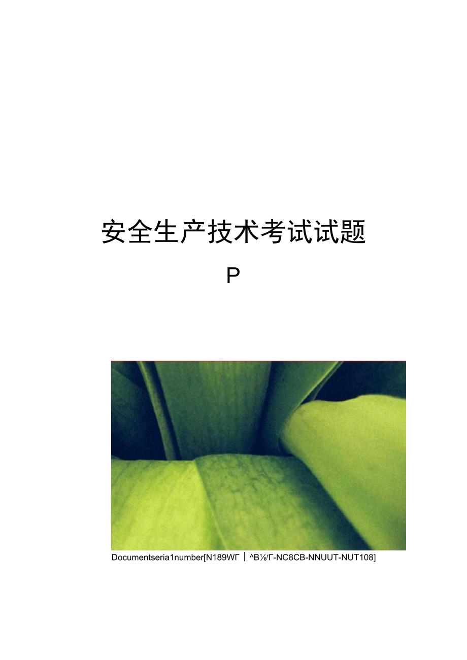 安全生产技术考试试题p.docx_第1页