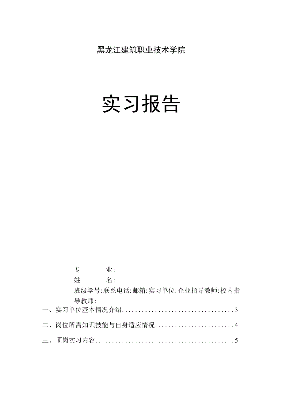 实习报告.docx_第1页