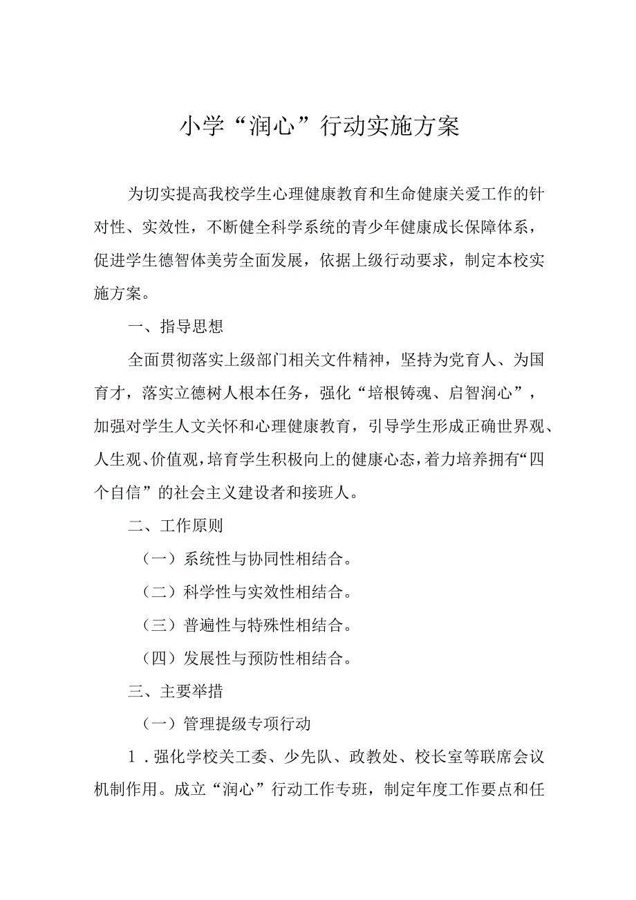 小学润心行动实施方案.docx_第1页