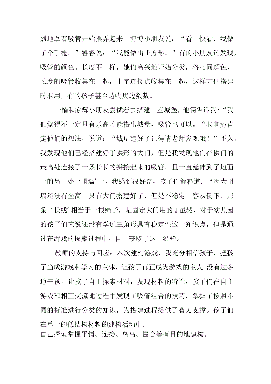 安吉游戏案例—小小吸管大变身.docx_第2页