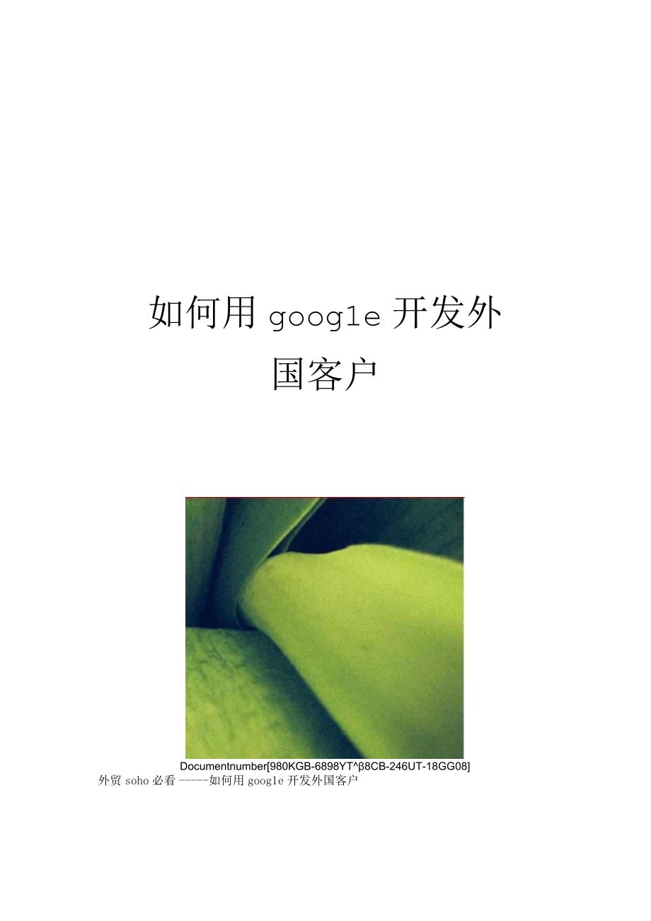 如何用google开发外国客户.docx_第1页