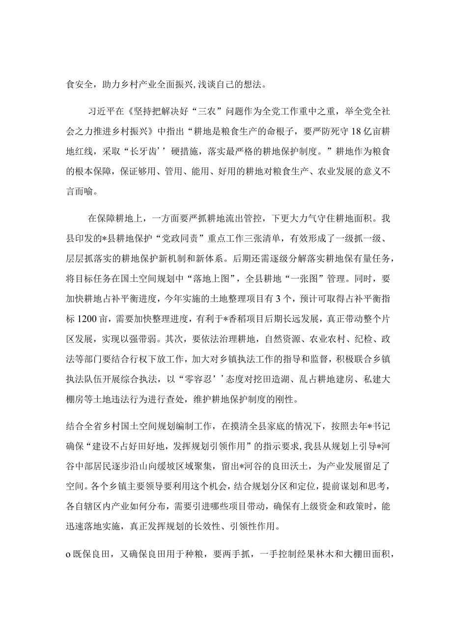 守红线保粮安推动乡村产业全面振兴研讨发言稿.docx_第2页