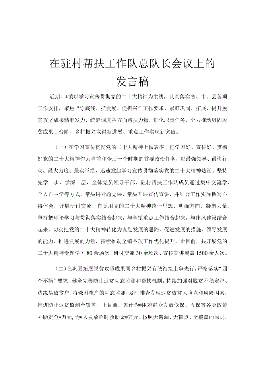 在驻村帮扶工作队总队长会议上的发言稿.docx_第1页