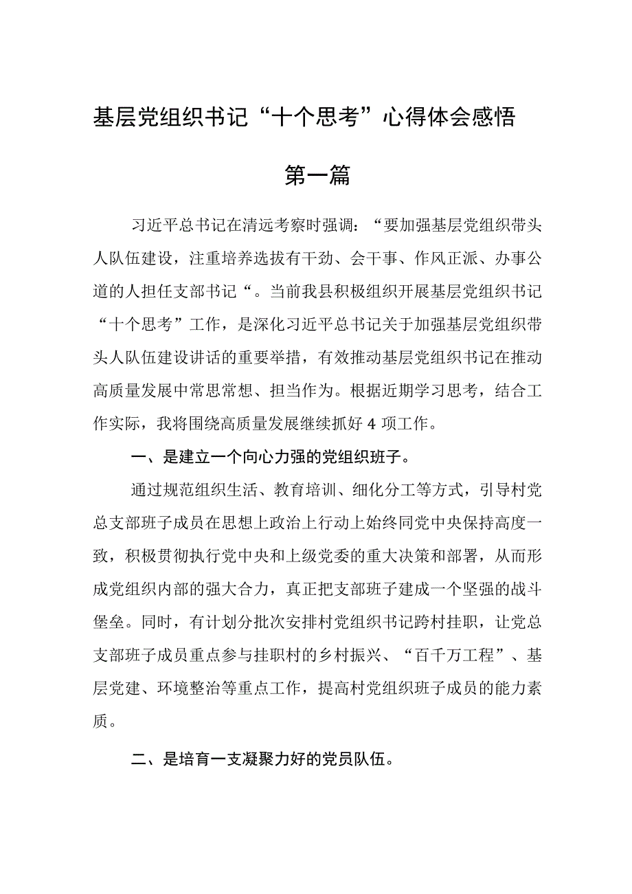 基层党组织书记十个思考心得体会感悟精选6篇.docx_第1页