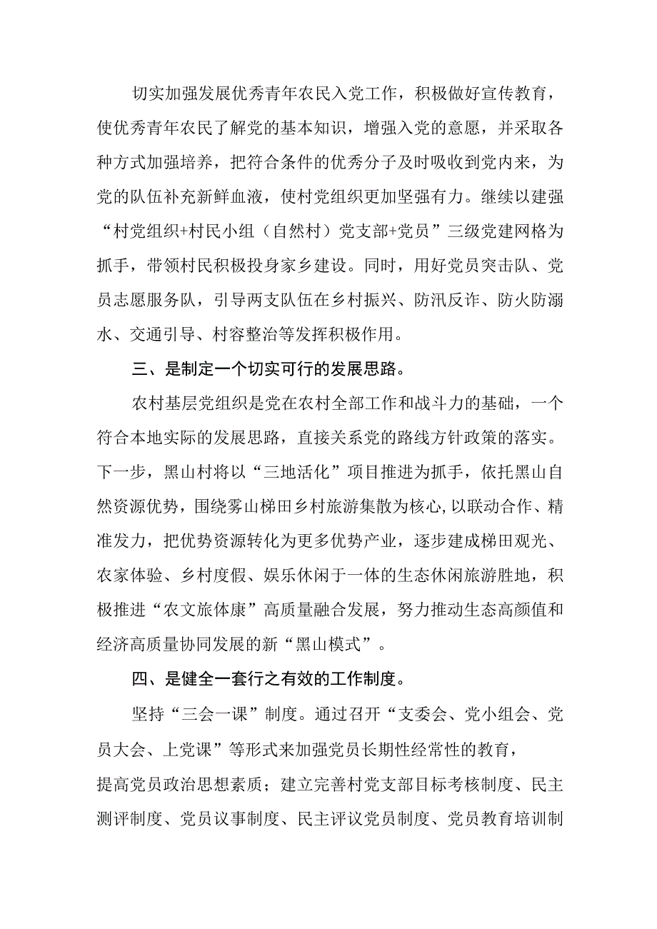 基层党组织书记十个思考心得体会感悟精选6篇.docx_第2页