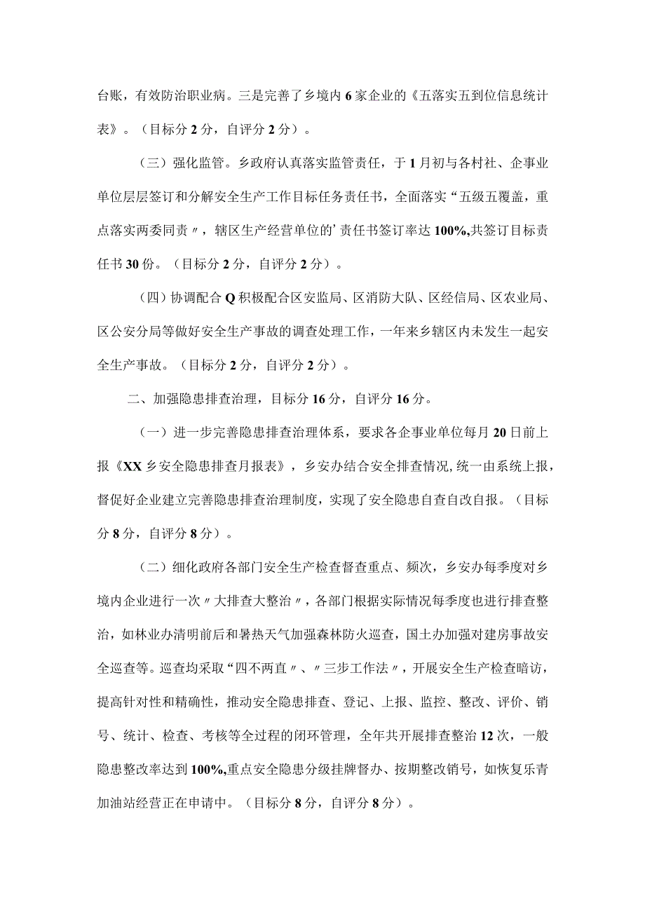 安全生产大检查自查报告.docx_第2页