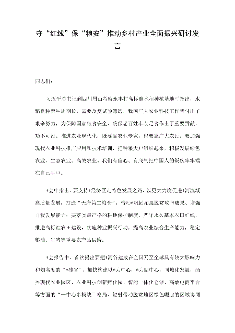 守红线保粮安推动乡村产业全面振兴研讨发言.docx_第1页