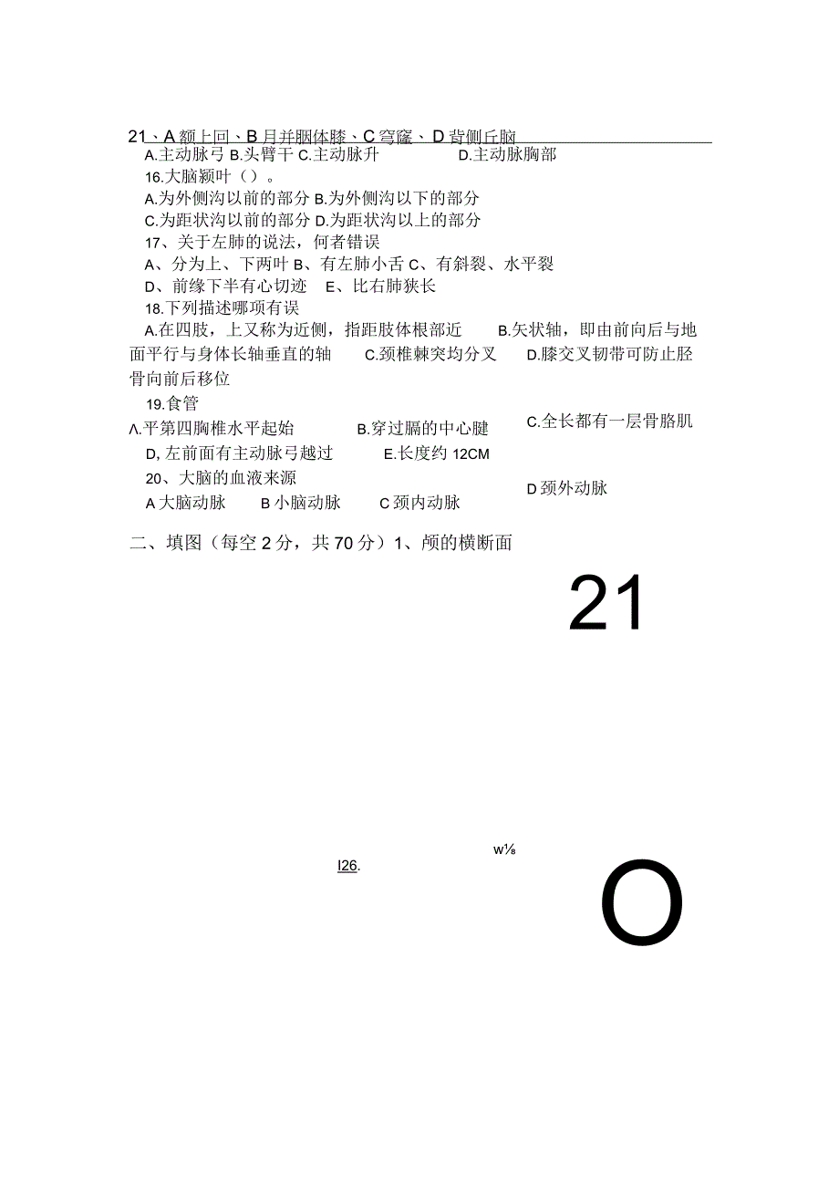 断层解剖学试卷.docx_第3页