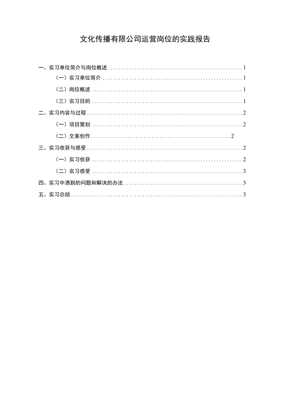 文化公司运营实践.docx_第1页