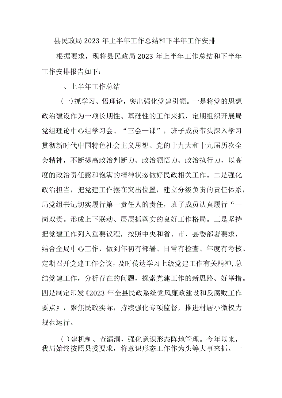 最新文档县民政局2023年上半年工作总结和下半年工作安排.docx_第1页