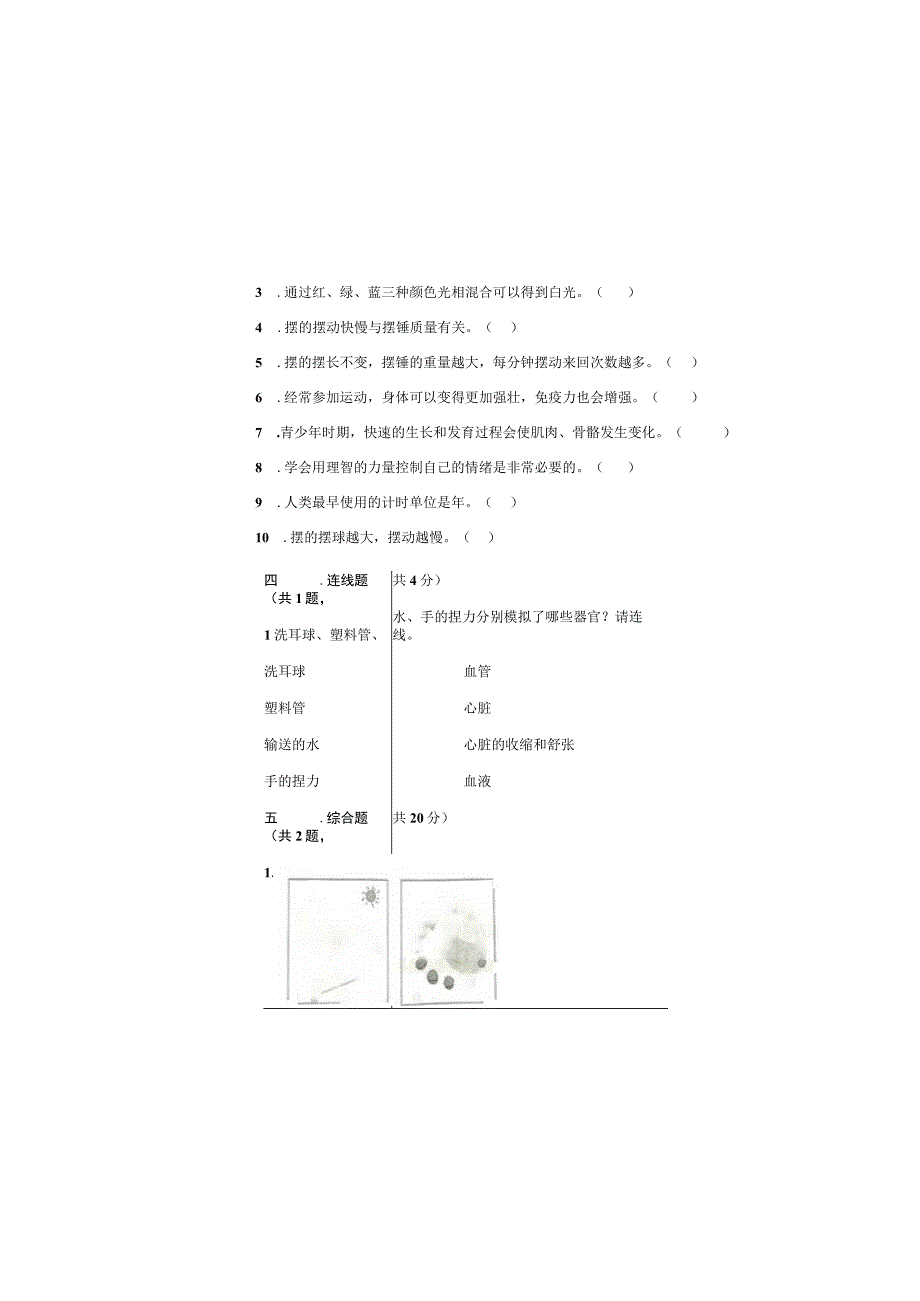 教科版2023年五年级上册科学期末测试卷含答案.docx_第3页