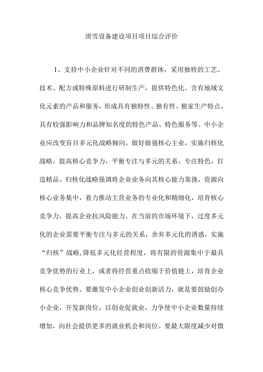 滑雪设备建设项目项目综合评价.docx_第1页