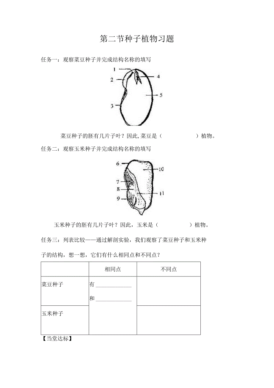 第二节种子植物习题.docx_第1页